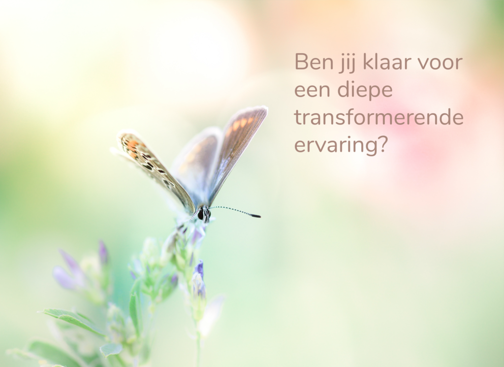 transformatie reiki 2